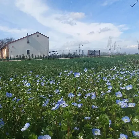 Frühstückspension San Matteo 4*