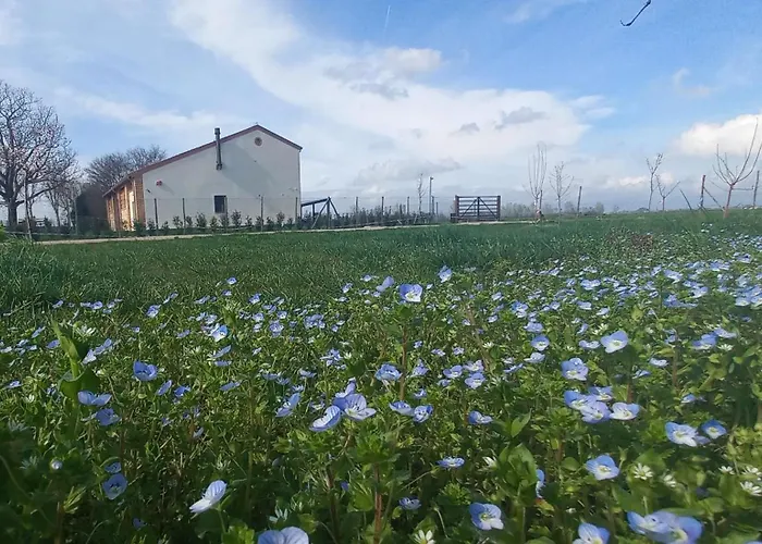 Frühstückspension San Matteo 4*